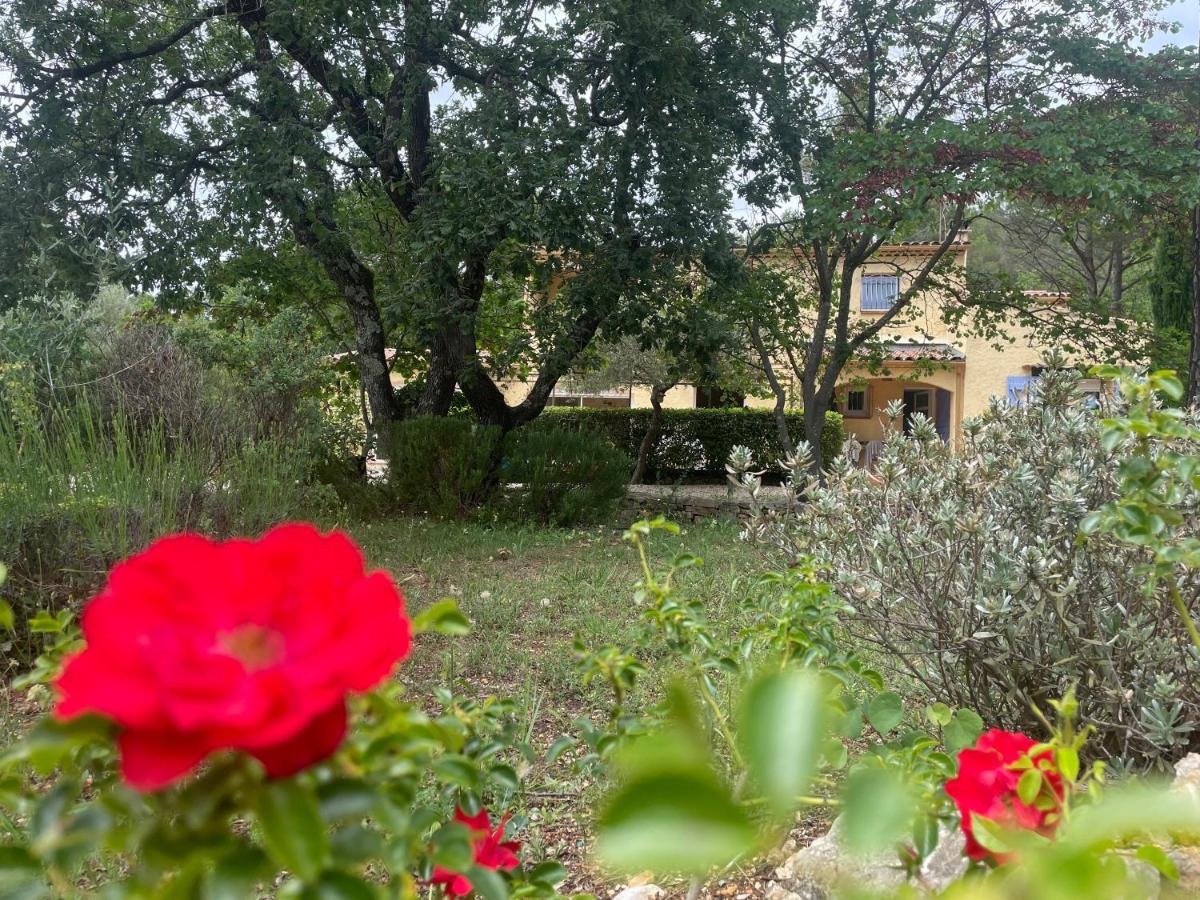 La Maison De La Cigale Forcalqueiret 외부 사진